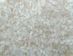 Ir8 Parboiled Rice Manufacturer Supplier Wholesale Exporter Importer Buyer Trader Retailer in Nagpur Maharashtra India